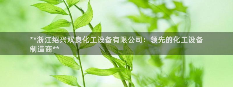 新宝gg平台―创造奇迹登录