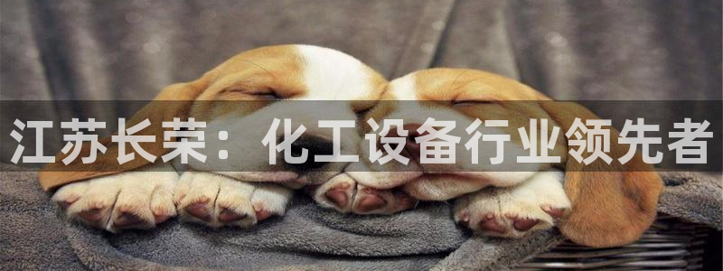 新宝gg真的能赚钱么