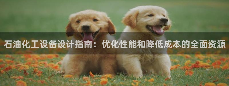新宝gg平台注册登录指南