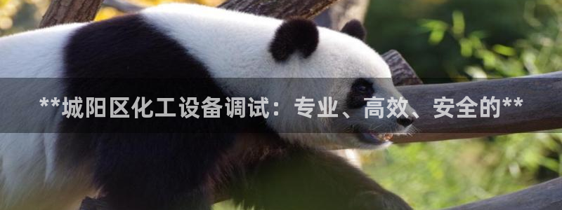 新宝gg登录不上去了：**城阳区化工设备调试：专业