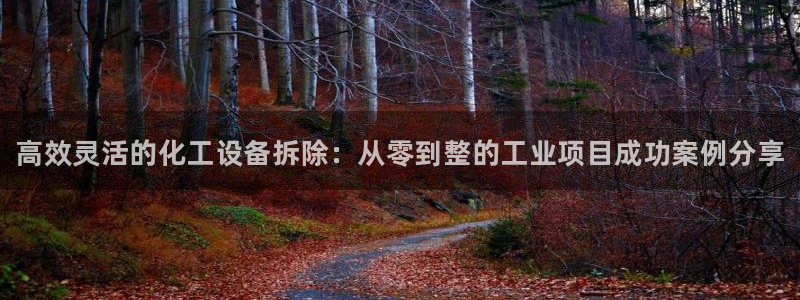 新宝GG平台开户：高效灵活的化工设备拆除：从零到整