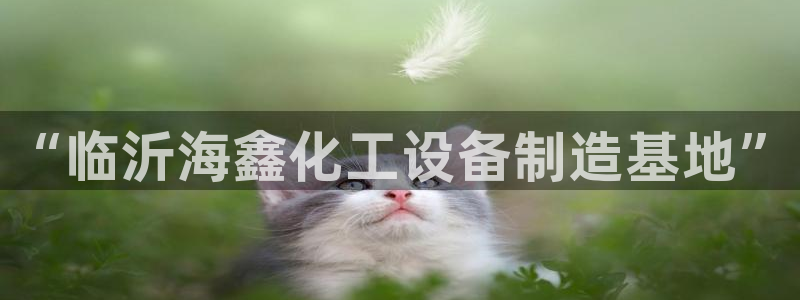 新宝gg怎么登录不了