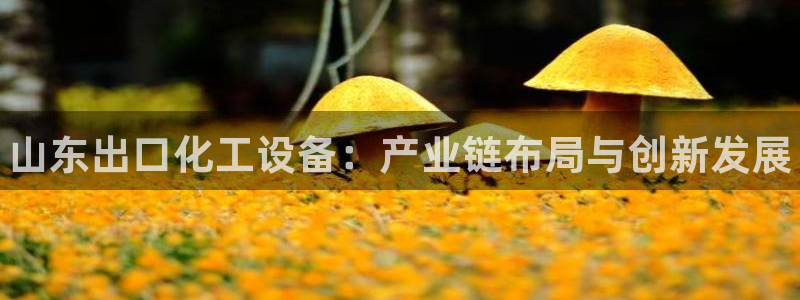 新宝gg登录测速中心：山东出口化工设备：产业链布局与创新发展