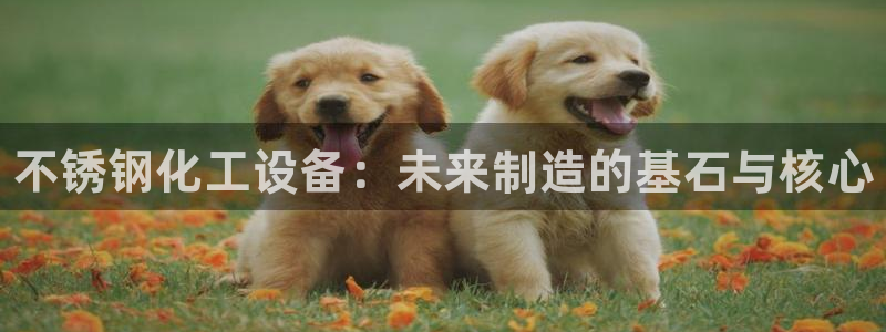 新宝gg平台―创造奇迹登录