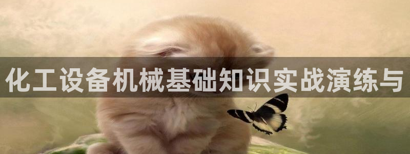 新宝gg一创造奇迹用户登录